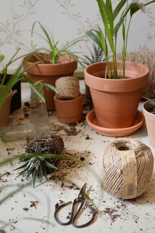 Arreglo Planteras Jardin