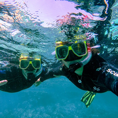 Experiencia de Snorkel para 2