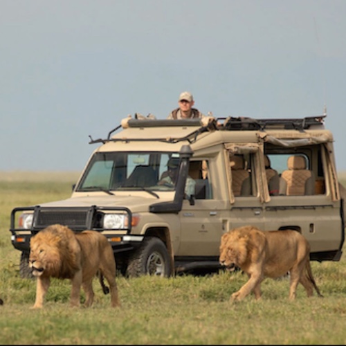 Safari en Jeep por el Serengeti